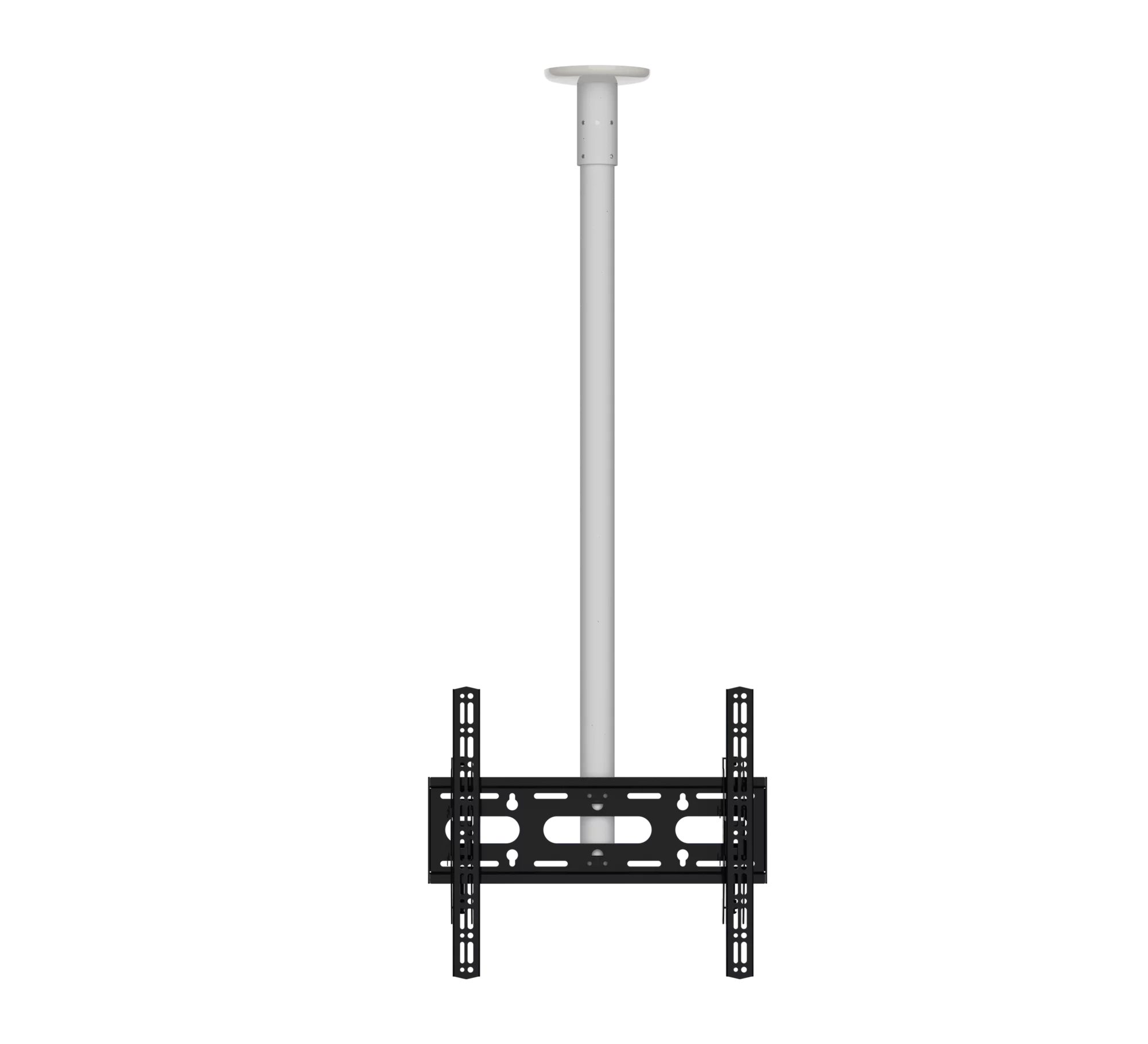 BT8424-100-BW-1.png