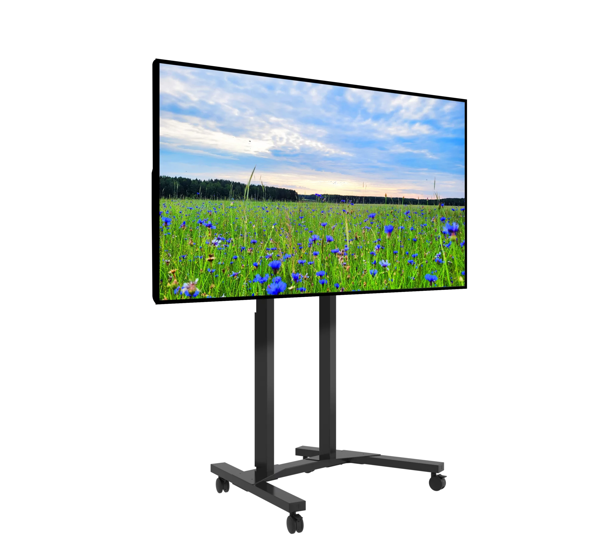 BT8558-B-4.png