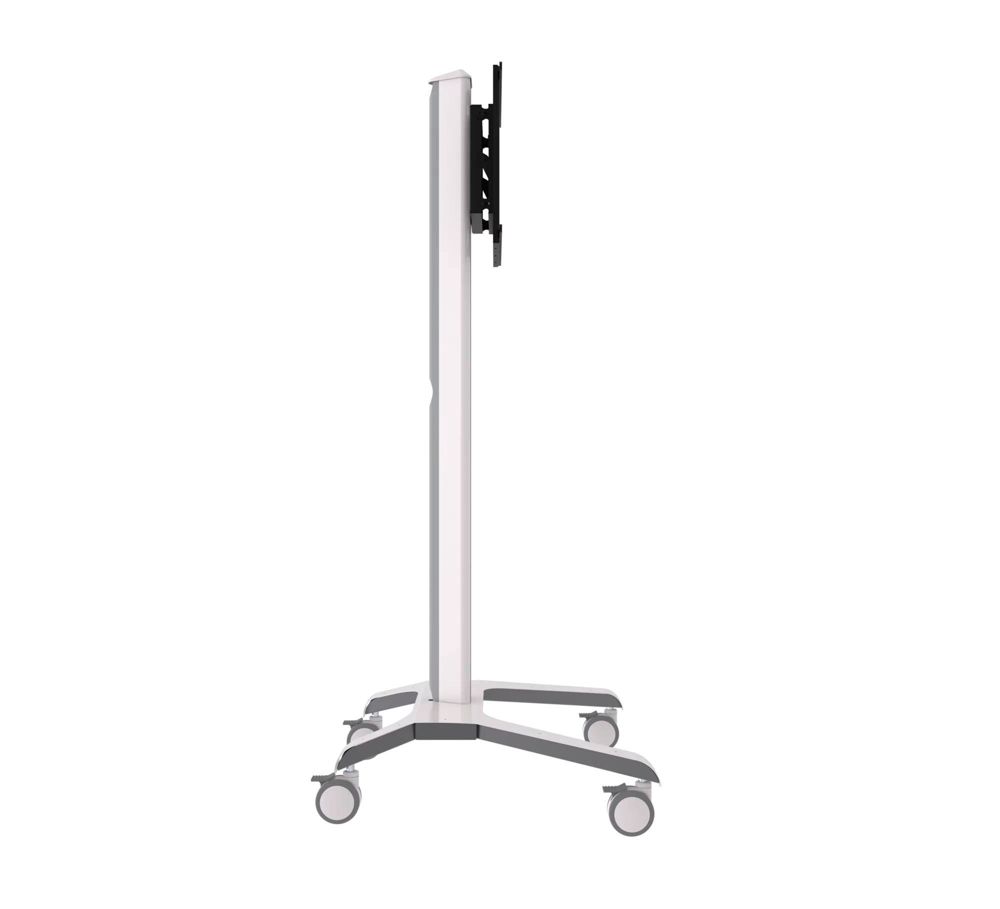 BT8566-W-3.png