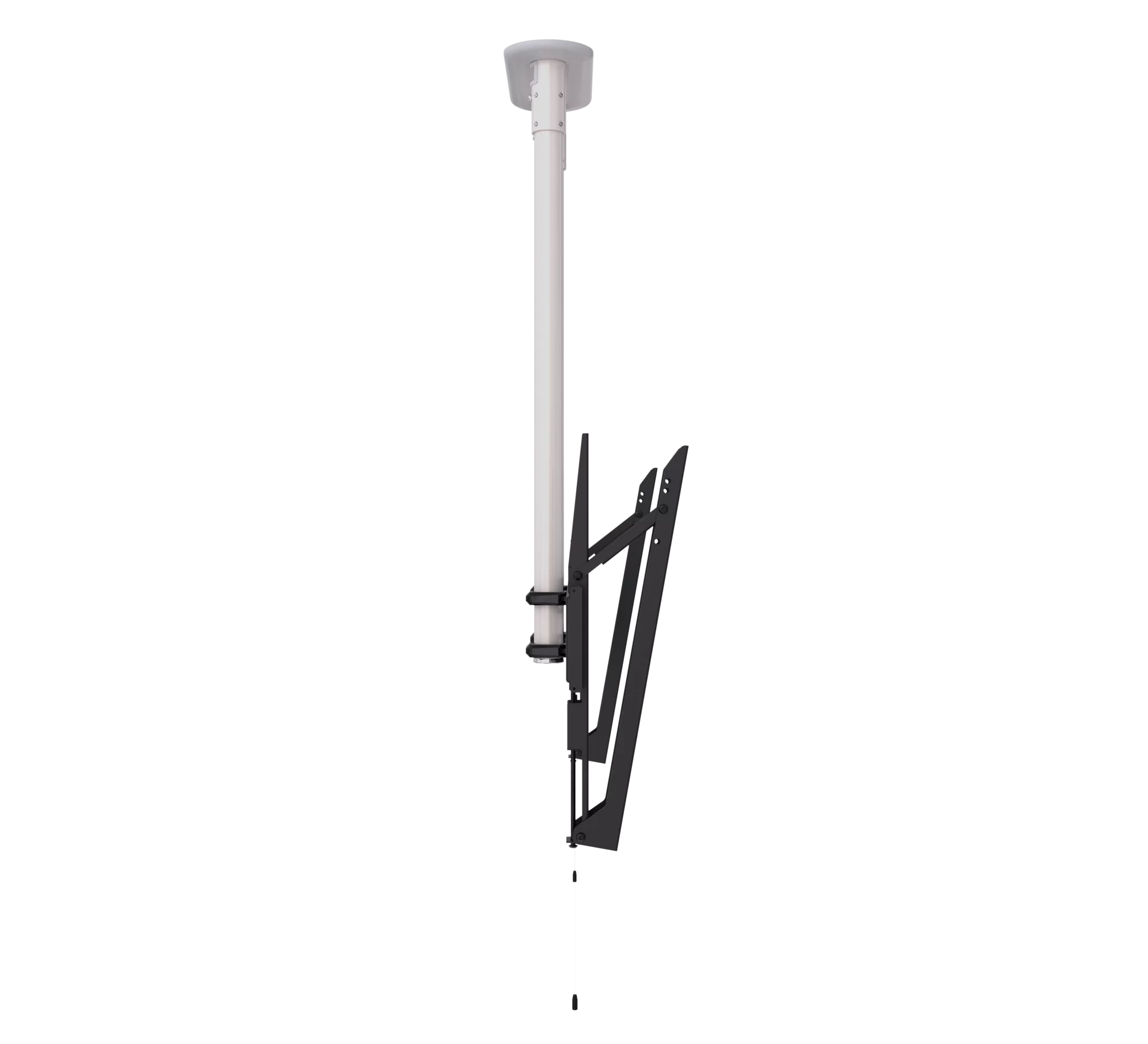 BT8449-100-BW-3.png